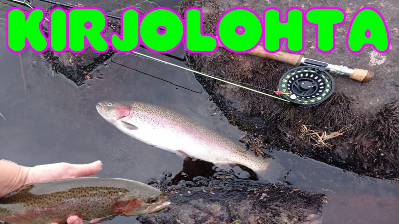 Kirjolohta | Perhokalastus | Merikarvianjoki | Kalastus 2021