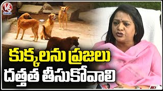 GHMC Mayor Gadwal Vijayalakshmi Reacts On Street Dogs Issue | Hyderabad | V6 News