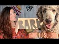 BARKBOX UNBOXING | LARGE DOG | Bark to School