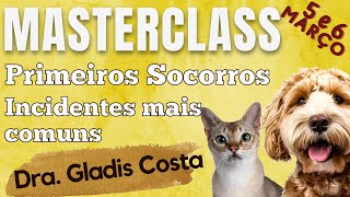 Masterclass - Incidentes mais comuns by Pet's com Pinta 39 views 2 years ago 20 minutes