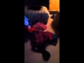 Frirst Person Front Flip Frirst Person Front Flip