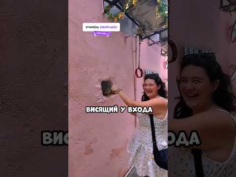 Никогда такое не пропускайте и вот почему! 🥹❤️ #shorts #shortsvideo