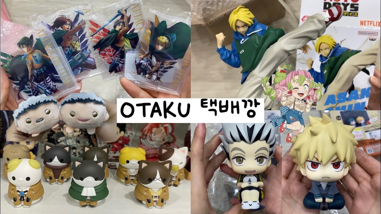 [오타쿠 브이로그] 택배깡🔟 나를 구축하러 온 파라디 섬 고양이🐱🪽 / 진격의 거인 메가캣 피규어 / 쯔무쯔무 / 메루카리 / 사카모토데이즈 / 하이큐 / 히로아카 / 귀칼