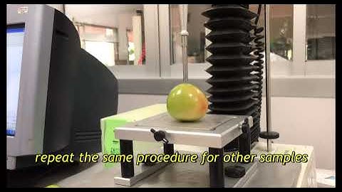 Puncture test of fruits and vegetables