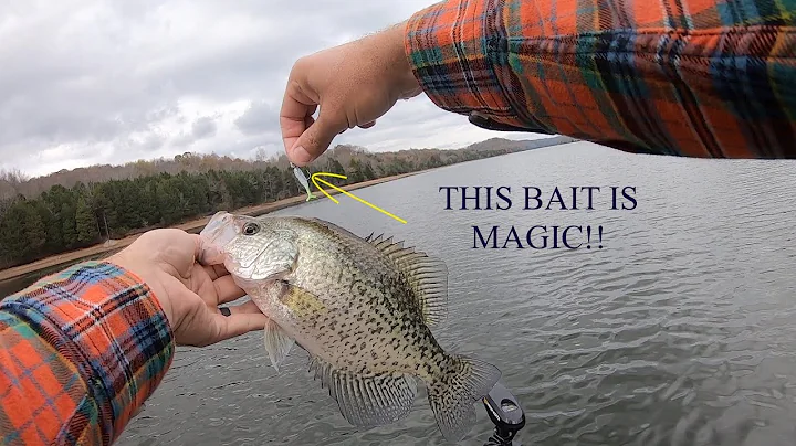 Try THIS BAIT When CRAPPIE WON'T BITE!!!