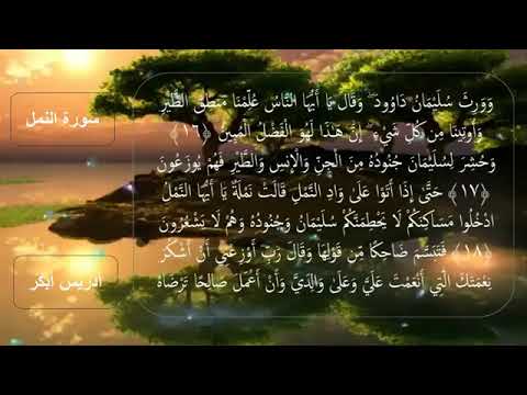 سورة النمل القارئ ادريس ابكر