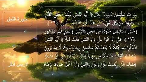 سورة النمل القارئ ادريس ابكر