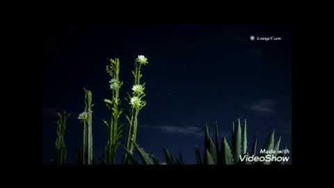 آيات وعبر من القرآن الكريم “واصبر لحكم ربك فإنك بأعيننا “💜