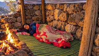 Preparing her mountain home for the cold winter & gathering mountain fruits for survival