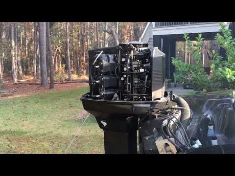 150 Johnson Fast Strike Cranking