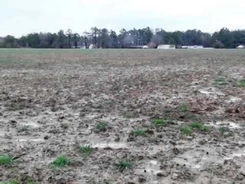 3877 Old Buck Creek Rd, Longs, SC home video tour