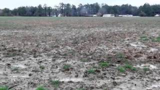 3877 Old Buck Creek Rd video tour