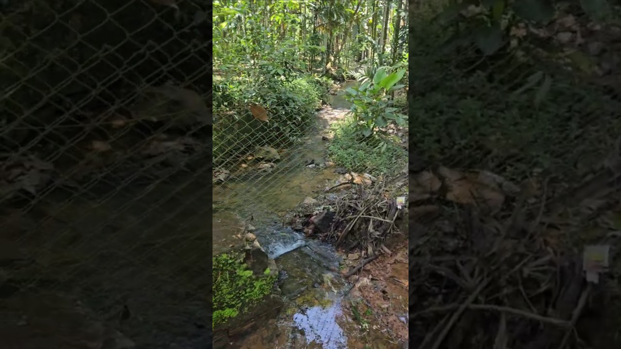 ഇന്ന് എന്നെ ഇഡ്ഡലിമാവ് ചതിച്ചു 🥰#youtubeshorts #family #love #happiness #wife