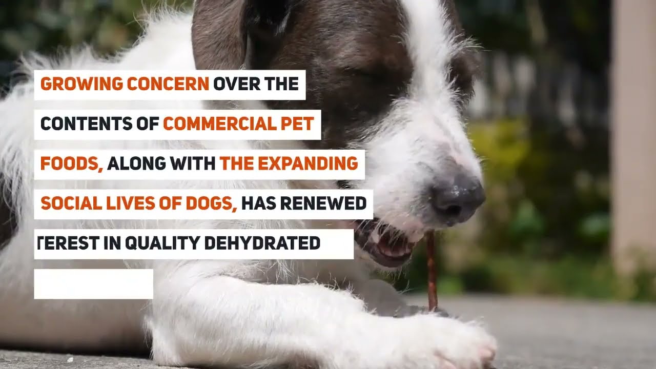 Are Dehydrated Vegetables Good For Dogs