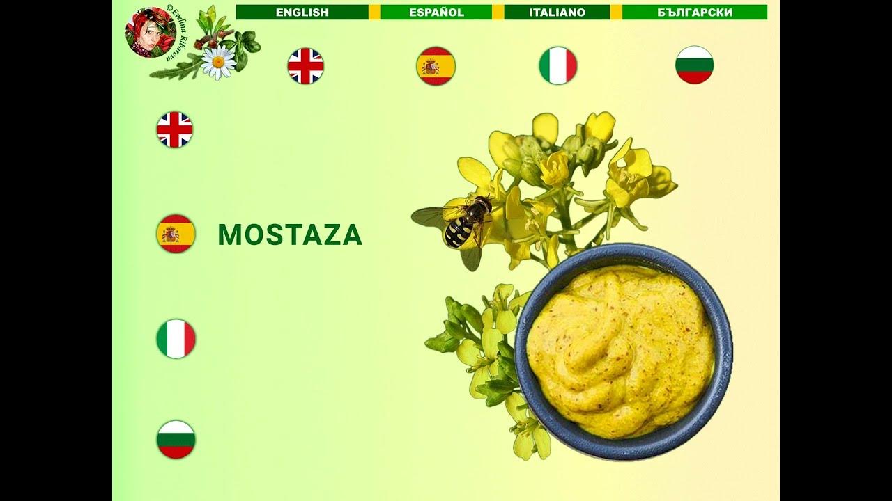 herb-names-and-spice-names-with-pronunciation-in-english-spanish