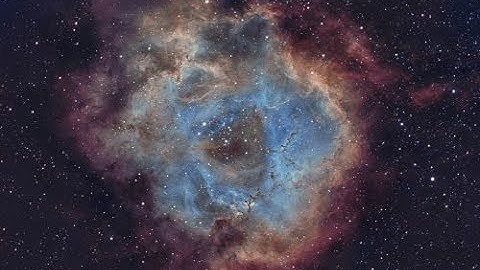 The Rosette Nebula Captured With Hubble Palette