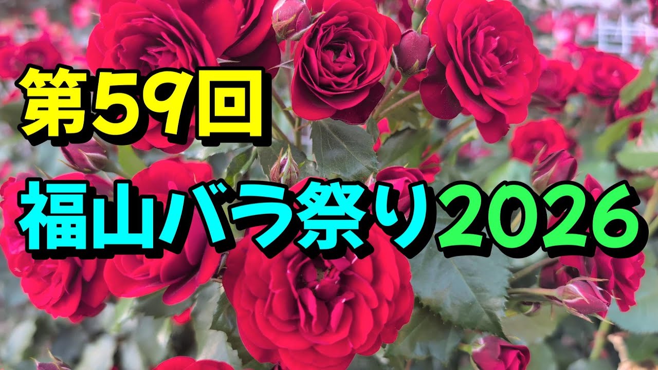 鉄緑会 高一数3 1式(バラ売り可) 福山バラ祭り】第59回福山バラ祭り2026「緑町公園のバラ」 - YouTube