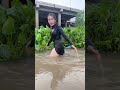 # น้องหมวย # จะพาไปหาปลา # เก็บผักหักหน่อ #cute #duet #vbloger #viral #couple #shortsvideo