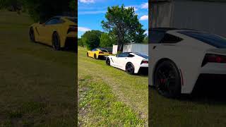 C7 corvette white and yellow