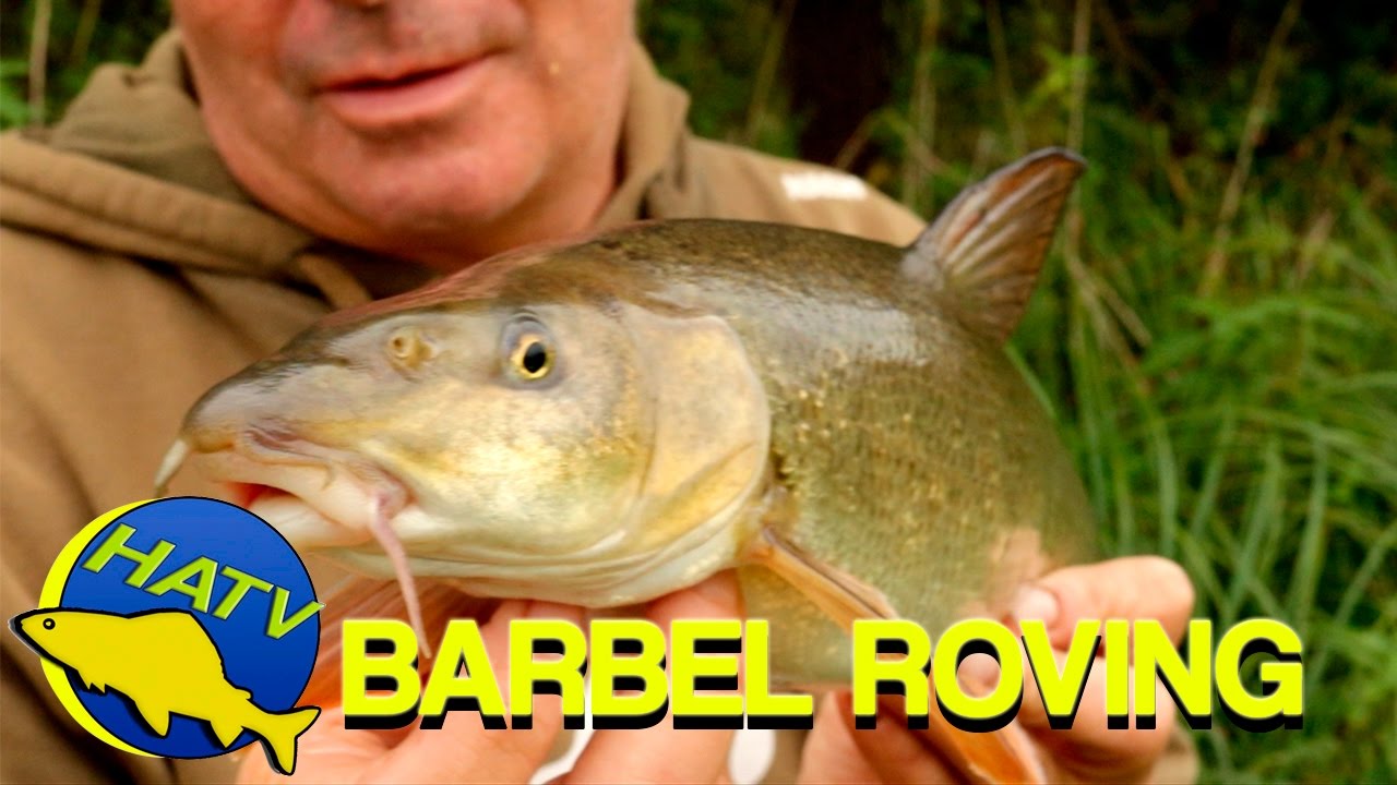 BARBEL ROVING with Duncan Charman - Hampshire Angling TV Production