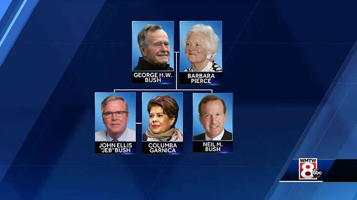 Video: Bush Family Tree