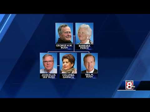 Video: Bush Family Tree