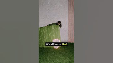 Symmetric vs Asymmetric Encryption Explained!  #tech #cybersecurity #encryption