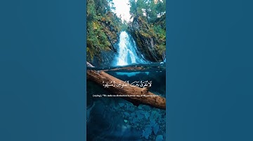 الشيخ ماهر المعيقلي  #اكسبلور #قرآن #explore #قران_راحة_نفسية #سورة_البقرة   #لايك