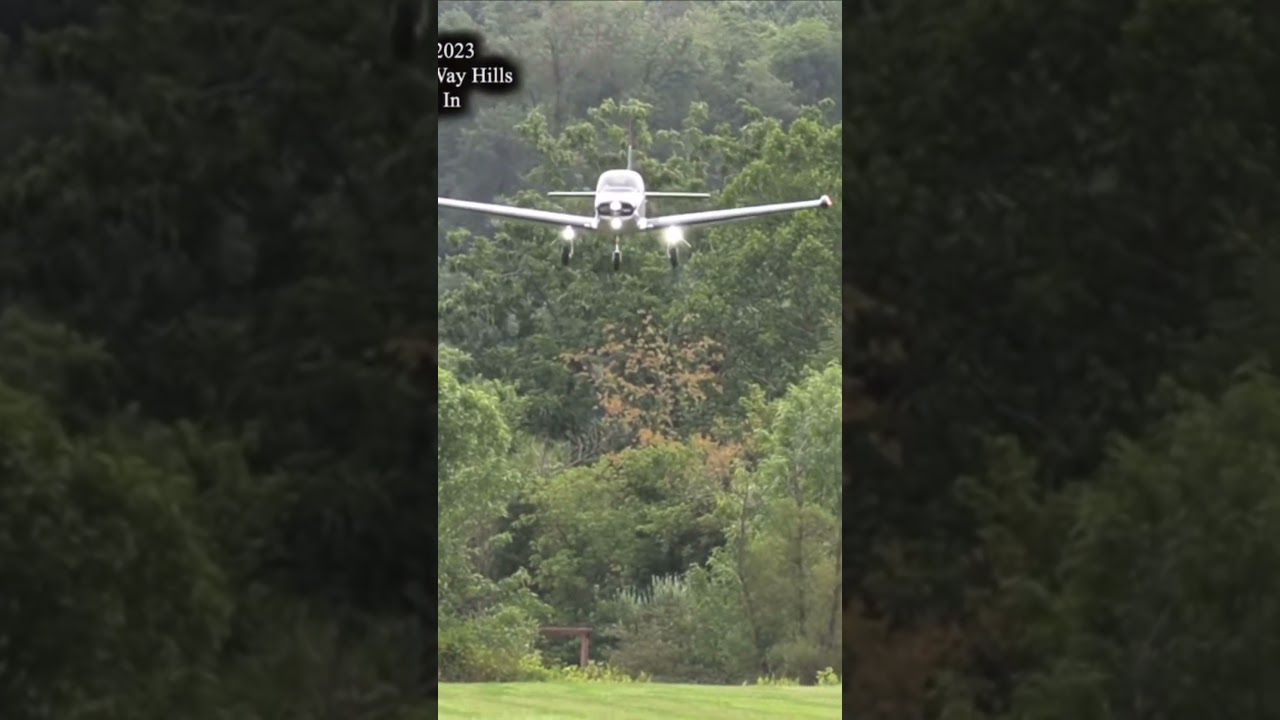 Navion Tree Top Flyer 