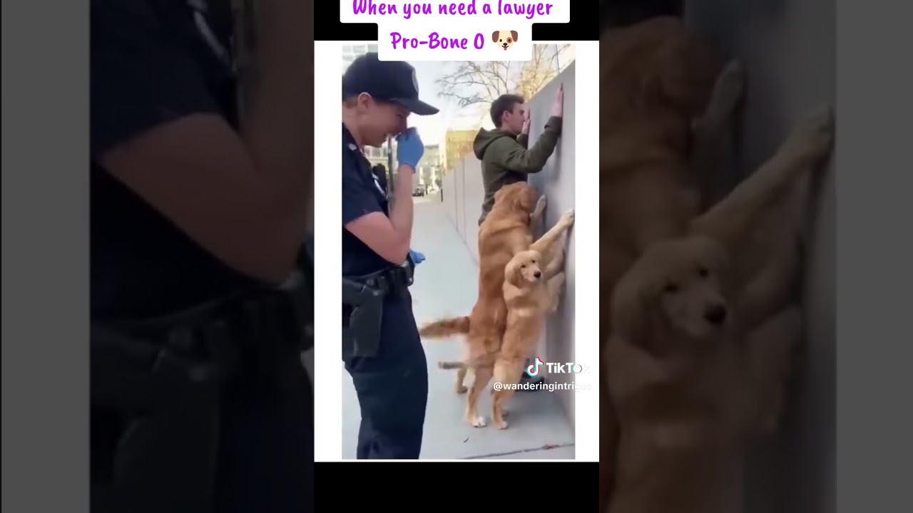 D  tudo que se imagina.
