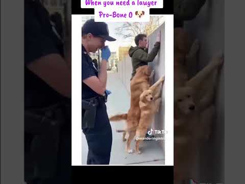 D  tudo que se imagina.