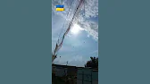 Пчела и Пасечник