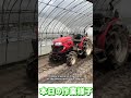 本日のいちご栽培作業様子 Today's strawberry cultivation work #shorts