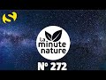 OÙ SONT PASSÉES LES ÉTOILES ? (No 272)