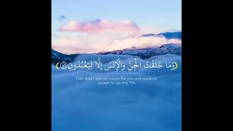 سورة الذاريات آية 56-58| وما خلقت الجن والإنس إلا ليعبدون ❤️