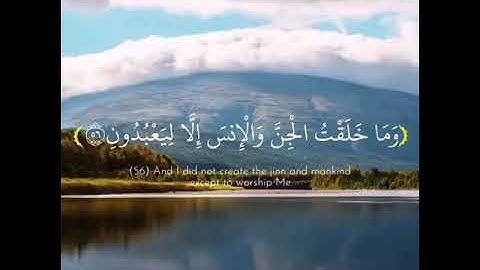 سورة الذاريات آية 56-58| وما خلقت الجن والإنس إلا ليعبدون ❤️