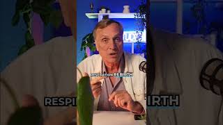 Bad trip #emprise #psychomoteur #interview #questcequejedevraischoisir