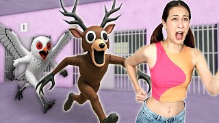 Download Lagu 99 NIGHTS PRISON RUN! - Roblox || Fan Friday MP3 Download Lagu 99 NIGHTS PRISON RUN! - Roblox || Fan Friday MP3