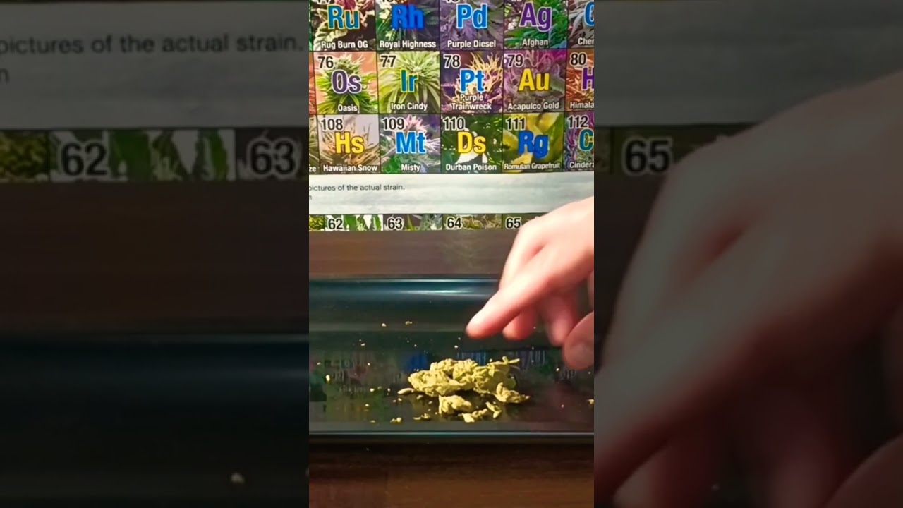 Motorbreath strain review 