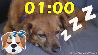 1 Minute Sleepy Puppy Dog Countdown Timer 🐶💤