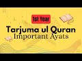 Important Ayats for 1st Year | Tarjuma tul Quran Paper Preparation 2025 | Most Expected Ayat