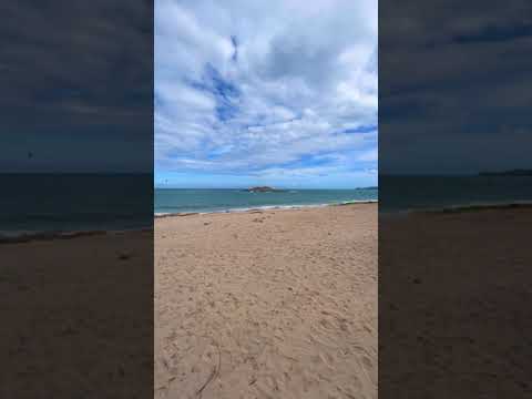 Карибы на острове