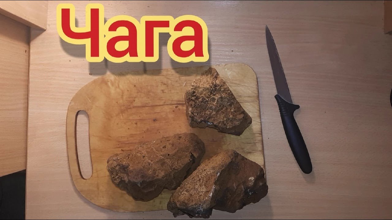 Чага. Как заваривать Чагу - YouTube