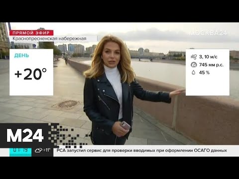 "Утро": пониженное атмосферное давление ожидается в Москве 22 сентября - Москва 24