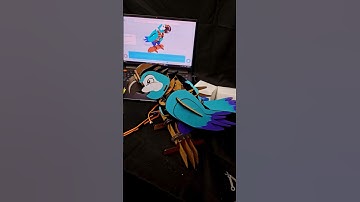 DIY animatronic parrot out of laser cut parts with this #robotics kit ​⁠🦜 #animatronics @Bottango