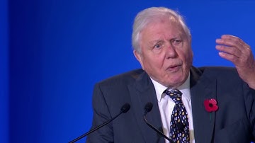 Watch Sir David Attenborough