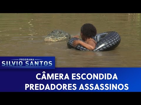 Predadores Assassinos - Crawl Prank | Câmeras Escondidas (22/09/19)