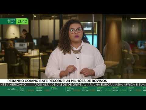 Rebanho goiano bate recorde: 24 milhões de bovinos