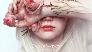 Video thumbnail of "Broken Wings"