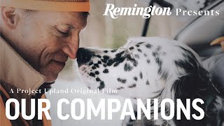 Our Companions  Grouse Hunting New York  Remington Ammunition Presents